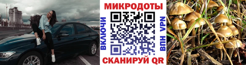 Галлюциногенные грибы Psilocybe Островной